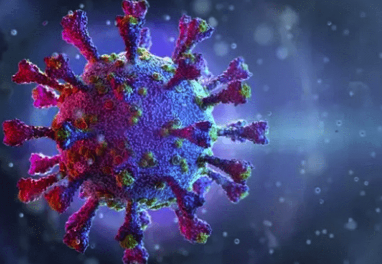 Xibalbá la nueva variante del virus SARS-CoV-2 en México