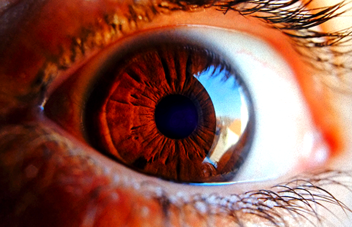La retina es fuente potencial para diagnosticar alzhéimer; indican especialistas de la UNAM.