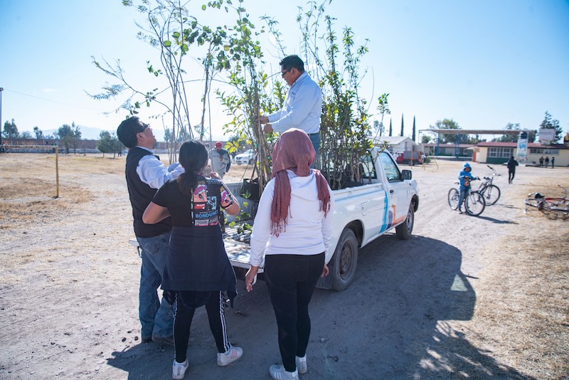 Realizan jornada de reforestación en Escuela primaria de San Rafael, El Marqués.