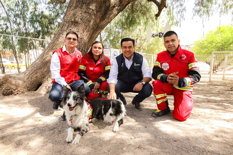 Reconoce Luis Nava a rescatistas y los perritos Balam y Orly por apoyar rescate en Turquía