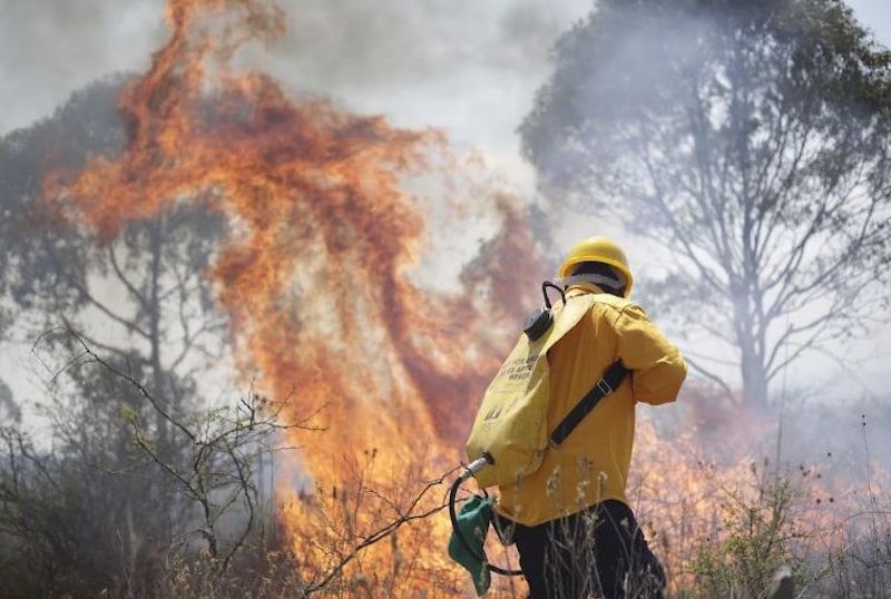 Fortalecen brigadas para combatir incendios forestales en Querétaro.