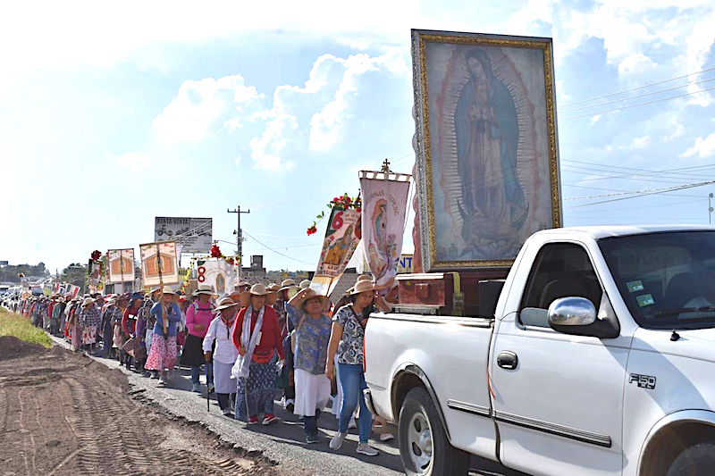 Garantizan seguridad a peregrinos queretanos que caminan hacia el Tepeyac.