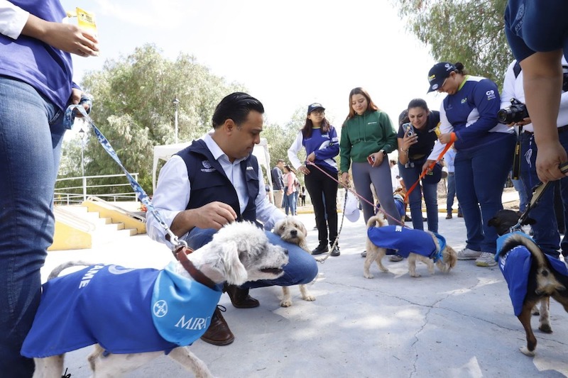 Se rehabilitan parques para lomitos en Querétaro Capital.