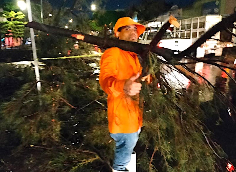 #EstaNoche Caen 12 árboles por #lluvias en diversas zonas de la Ciudad de #Querétaro. Protección Civil Municipal informó que no hubo personas lesionadas.
