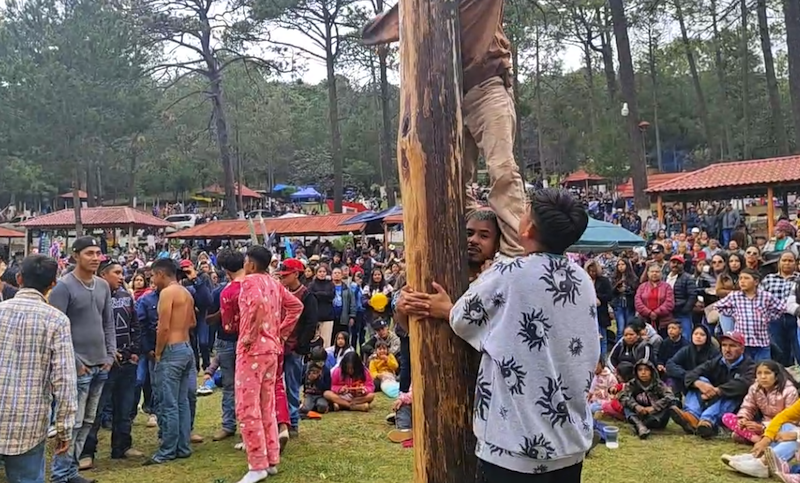 Miles participan en el picnic más grande del mundo en San Joaquín; concluyen con éxito las TFA 2023.