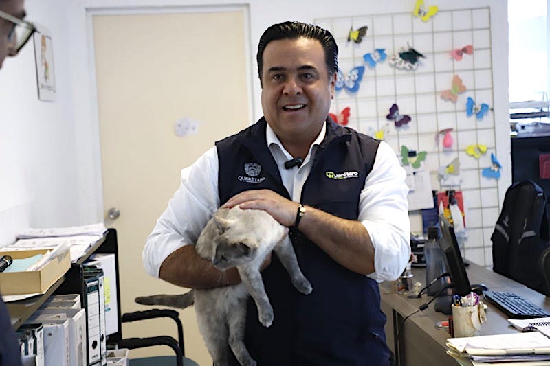 Querétaro es pionero en protección de las mascotas.