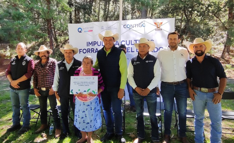 Entregan semilla de avena a ganaderos de San Joaquín.