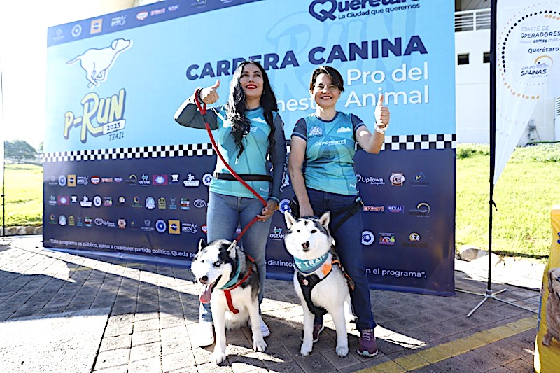 La carrera canina P-Run 2023 se realizará el 15 de octubre en Parque Bicentenario.