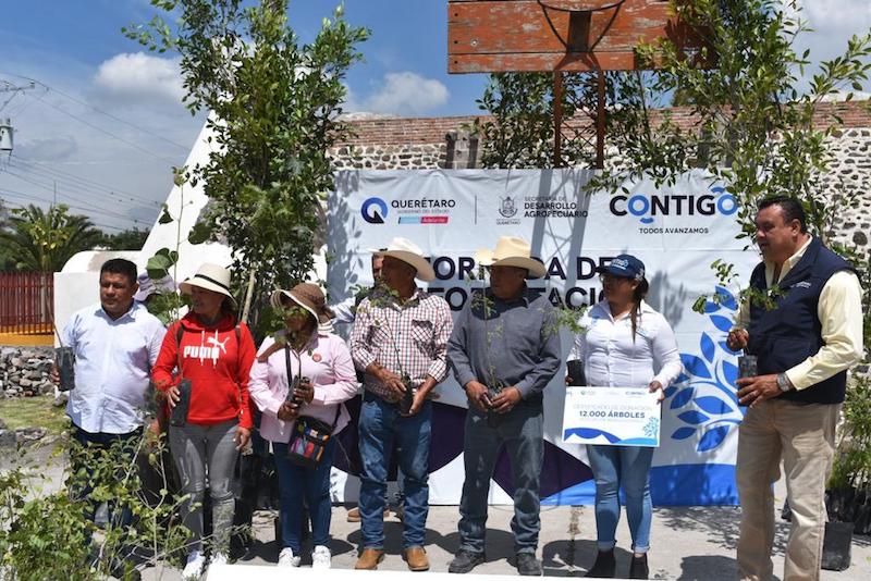 Se realiza Jornada exitosa de reforestación en Ajuchitlancito.