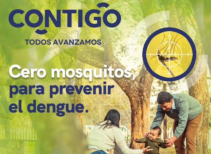 Alarma por aumento de casos de Dengue en Querétaro.