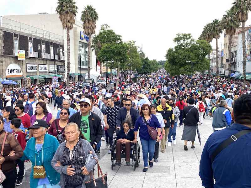 Arribarán a la Basílica de Guadalupe 13 millones de peregrinos.
