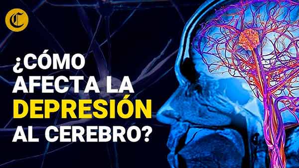 #SaludMental La #depresión es resistente a fármacos, alertan especialistas mexicanos. Se estima que para el año 2030, la depresión será la tercera causa de discapacidad.