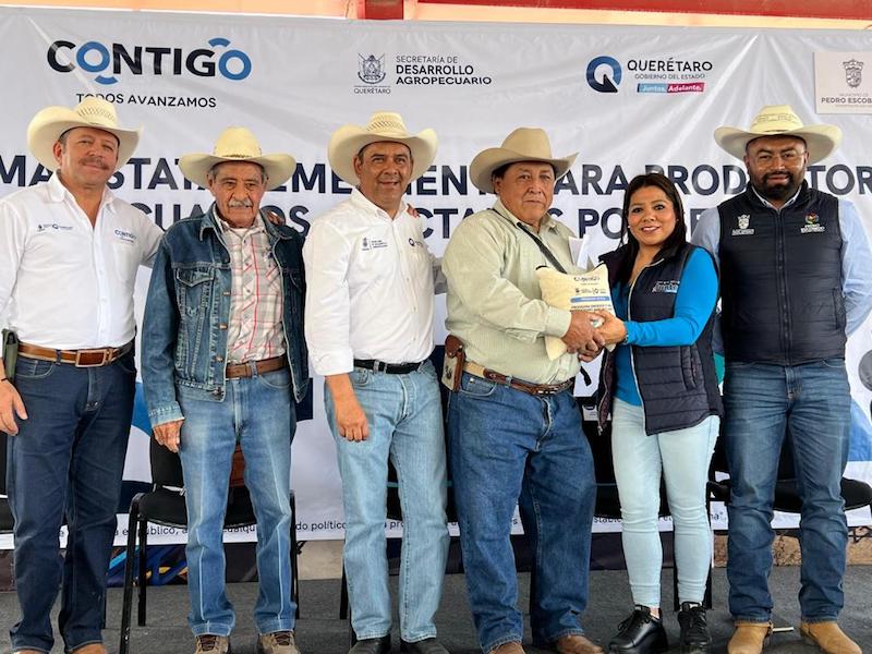 Mercedes Ponce entrega maíz a productores maíz para consumo humano.