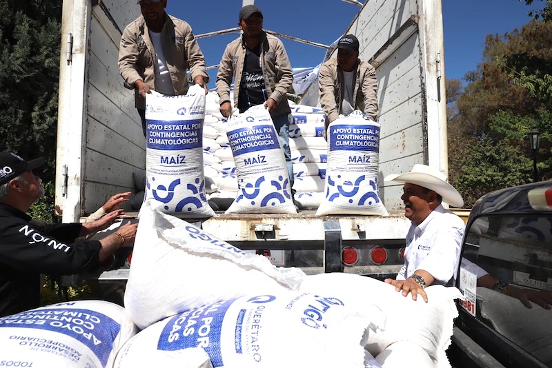 Concluye entrega de maíz a productores afectados por sequía en Querétaro