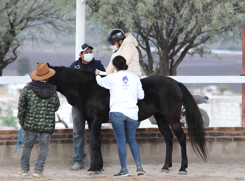 Inicia en Querétaro programa Cabalgando Juntos 2024