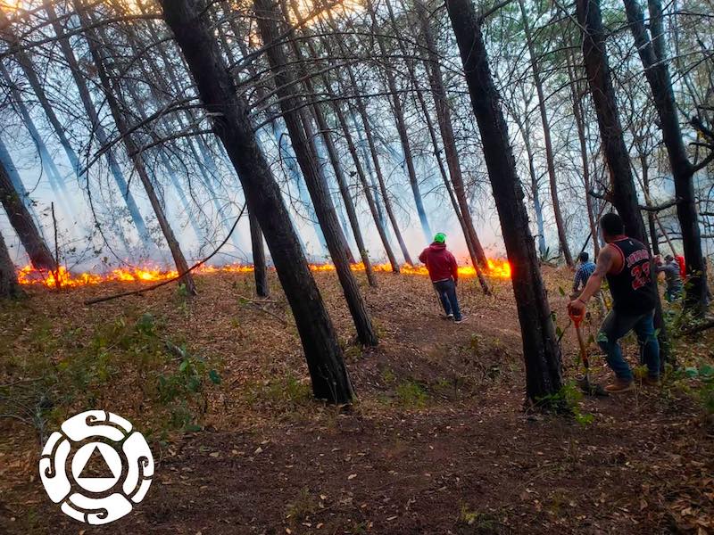 Incendio forestal en Puerto Colorado en Pinal de Amoles.