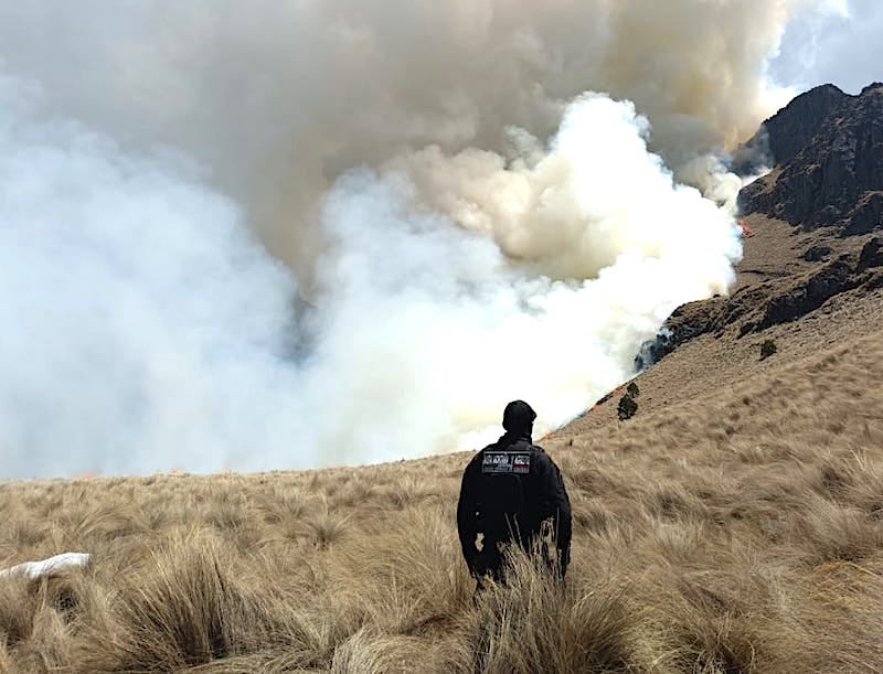 Reportan 99 incendios forestales activos en México