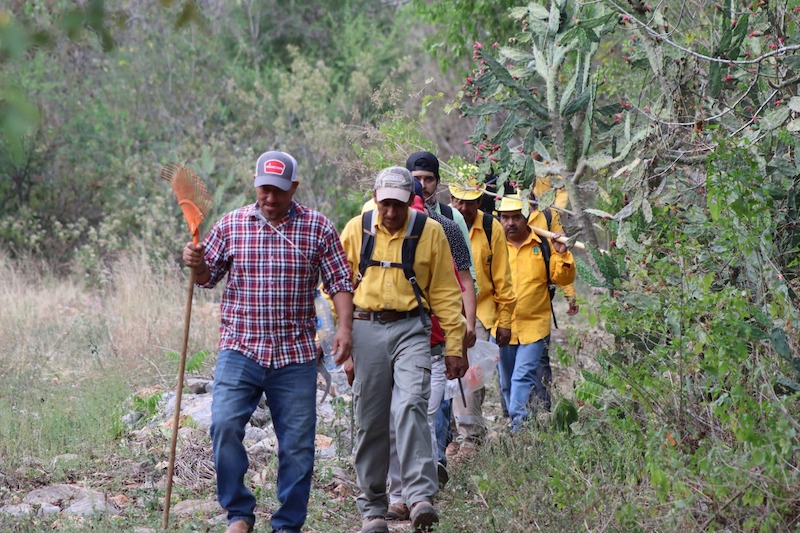 Se registran incendios forestales en Querétaro; hay dos activos, varios controlados.