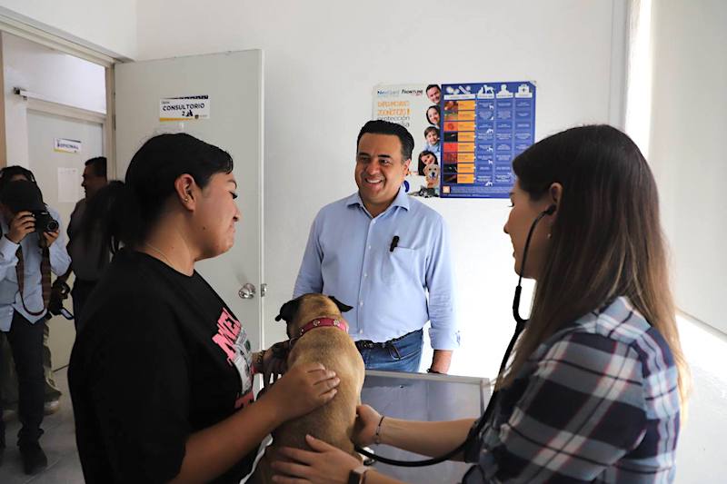 Llaman a aprovechar campaña de vacunación antirrábica canina y felina 2024 en la capital queretana.