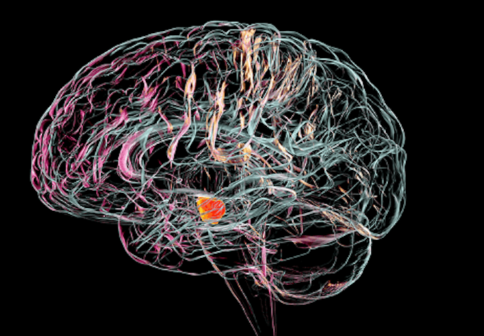 ¿Qué es el Parkinson_ Aquí te damos el dato.