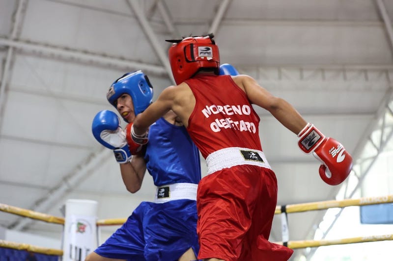 Boxeadores queretanos logran 6 medallas en Juegos Nacionales.