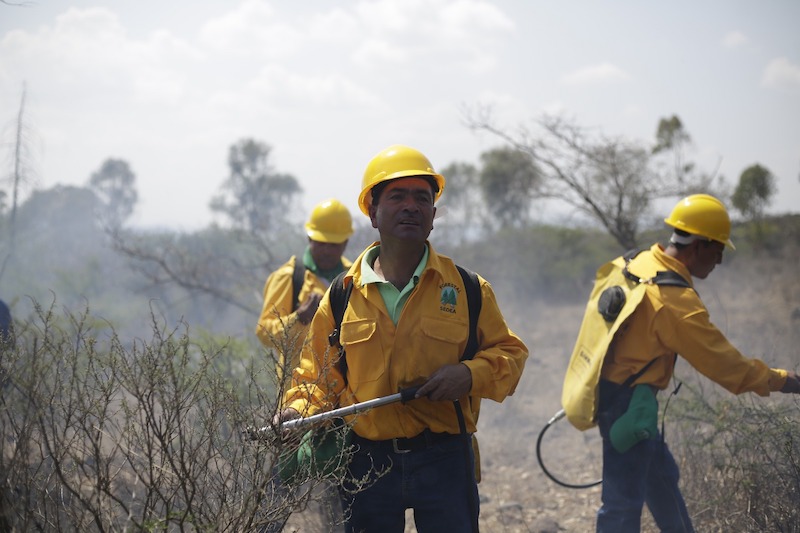 #QueNoSeTePase Exhortan a prevenir incendios forestales en #Querétaro. Se insta a los queretanos a evitar acciones que pueden provocar estos siniestros como: Tirar colillas de cigarro, encender fogata o dejar restos de vidrio en zonas boscosas.