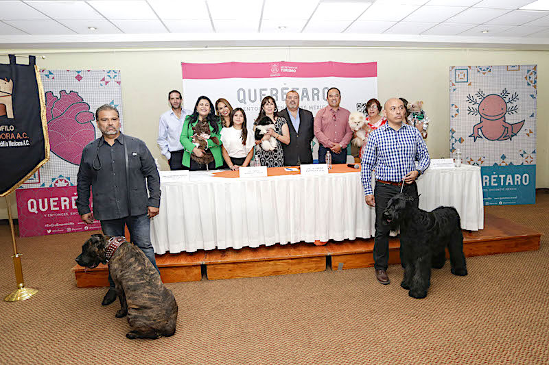 Querétaro será sede de la Expo Canina Internacional 2024.