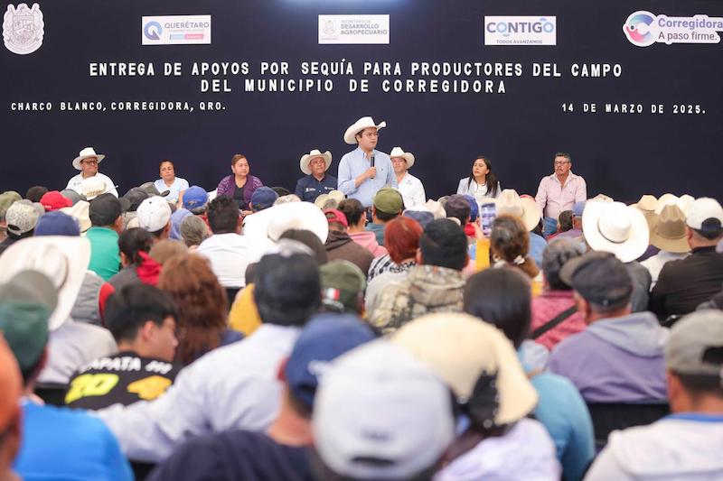 654 productores afectados por la sequía en Corregidora reciben 255 toneladas de maíz