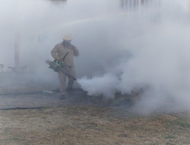 Querétaro reporta 18 Casos Positivos de Dengue
