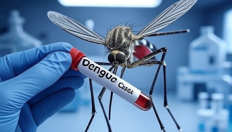 Peñamiller y Querétaro los municipios con más casos de dengue