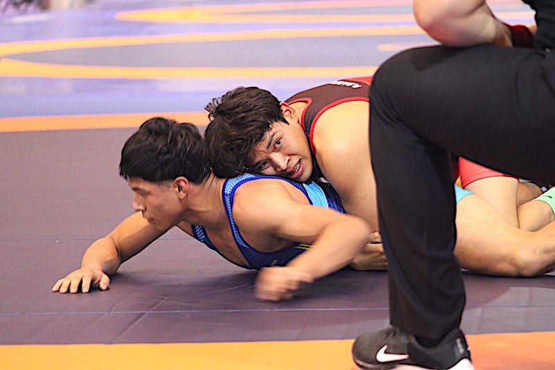 Querétaro suma 17 medallas en Lucha Grecorromana durante la Olimpiada Nacional