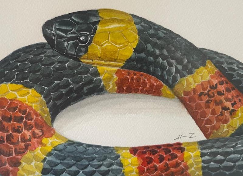 Recibe Museo Histórico de la Sierra Gorda la obra de Lilian Tendilla