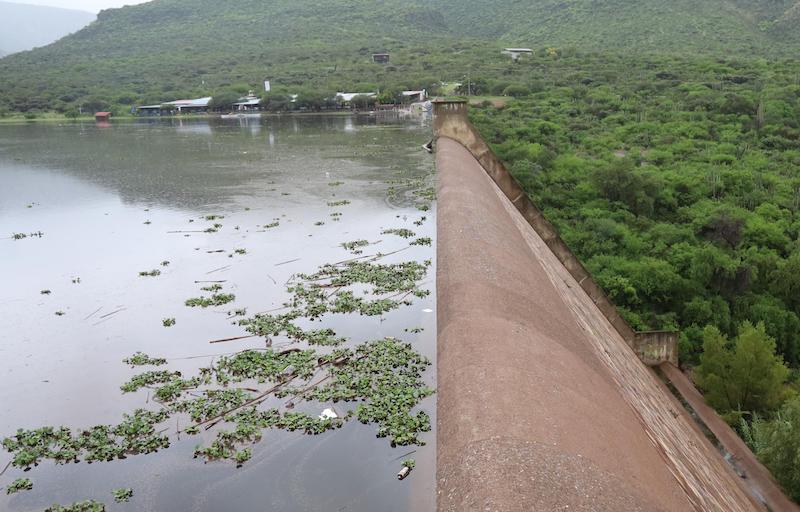 Reportan 4 presas de Querétaro al máximo de su capacidad