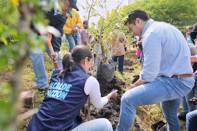 Felifer Macías participa en jornada “Reverdecer Querétaro”; se plantan más de 600 árboles en reserva ecológica