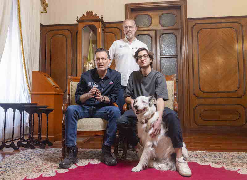 Mauricio Kuri enviará al Congreso de Querétaro nueva Ley de Bienestar Animal