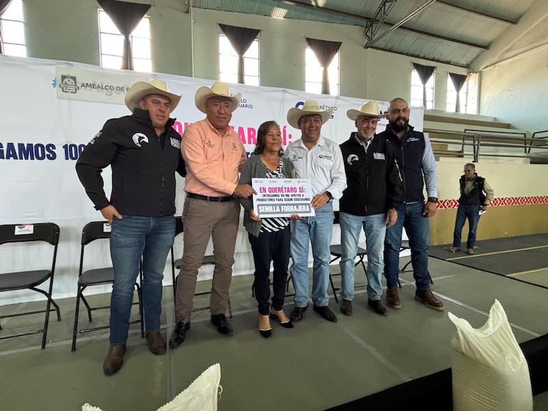 Entregan avena a pequeños ganaderos de Amealco