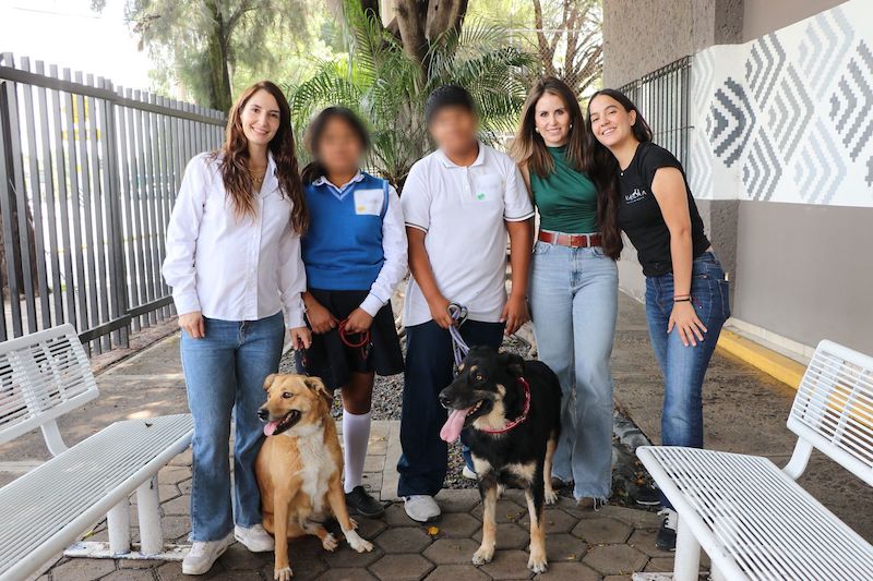Jóvenes queretanos entrenarán perritos rescatados en proyecto pionero del DIF Municipal