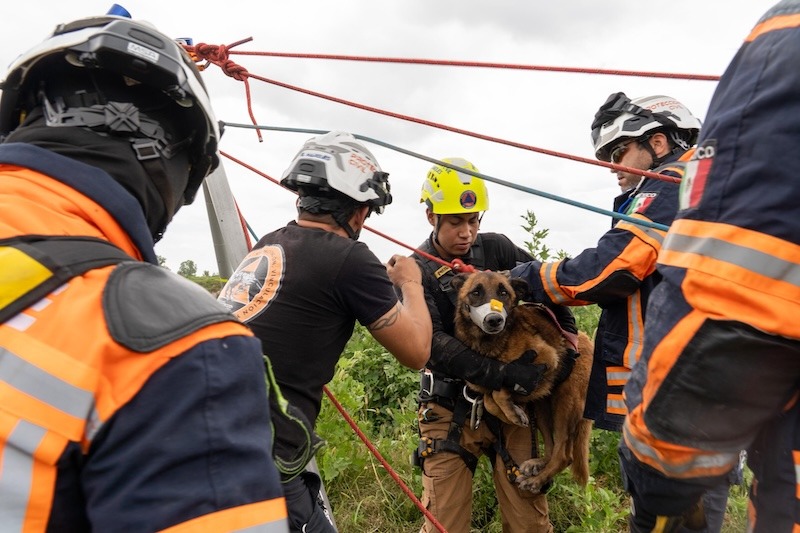 Rescatan a perrito atrapado en un barranco en El Marqués