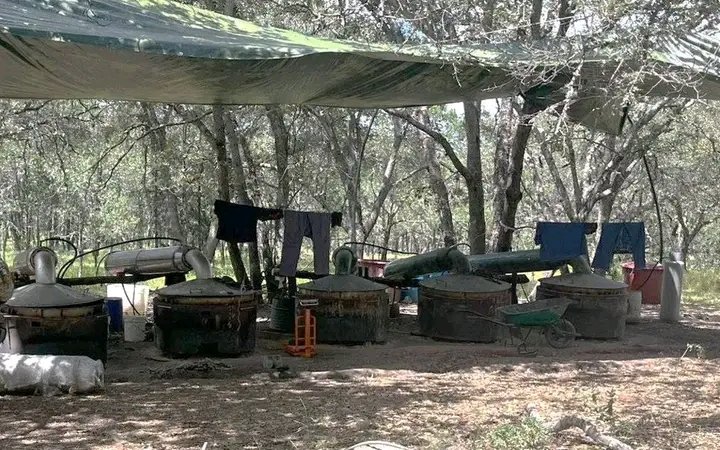 SEDENA desmantela narcolaboratorio en El Marqués; Colón aclara que operativo no fue en su territorio