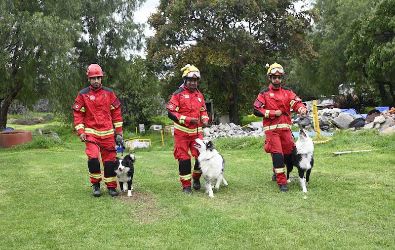 ¿Sismo en septiembre en México? Mitos y realidades sobre los movimientos telúricos