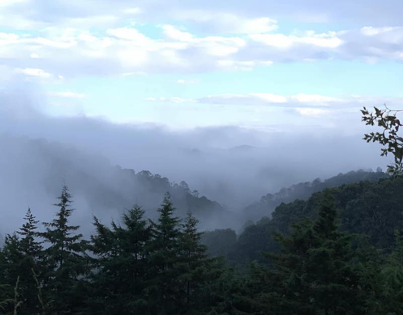 Descienden las temperaturas en Querétaro; se registran hasta 4 °C en la zona serrana