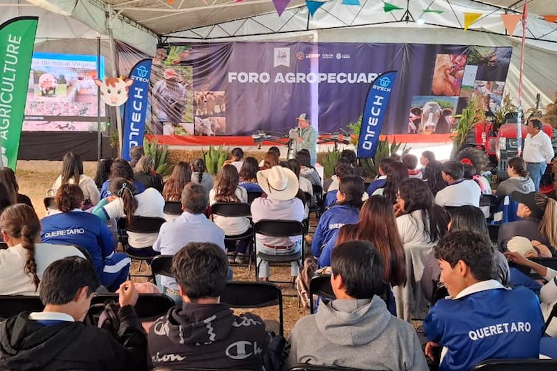 Impulsan uso del nopal forrajero en la ganadería durante la Feria Colón 2025