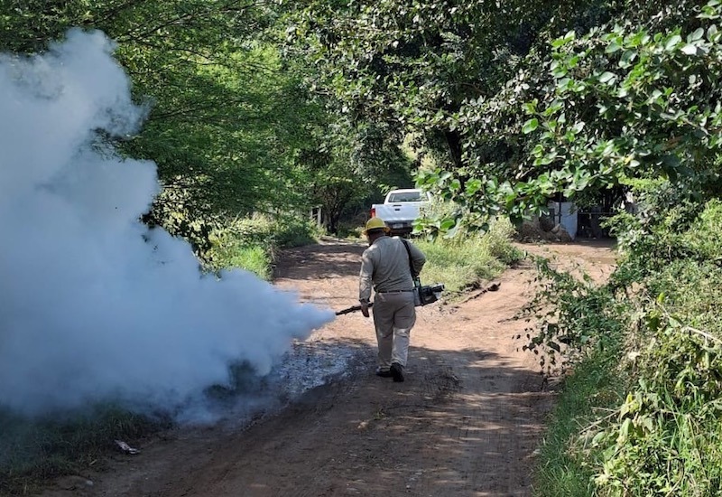 Repunta el dengue en Querétaro: se registran 90 casos y una defunción
