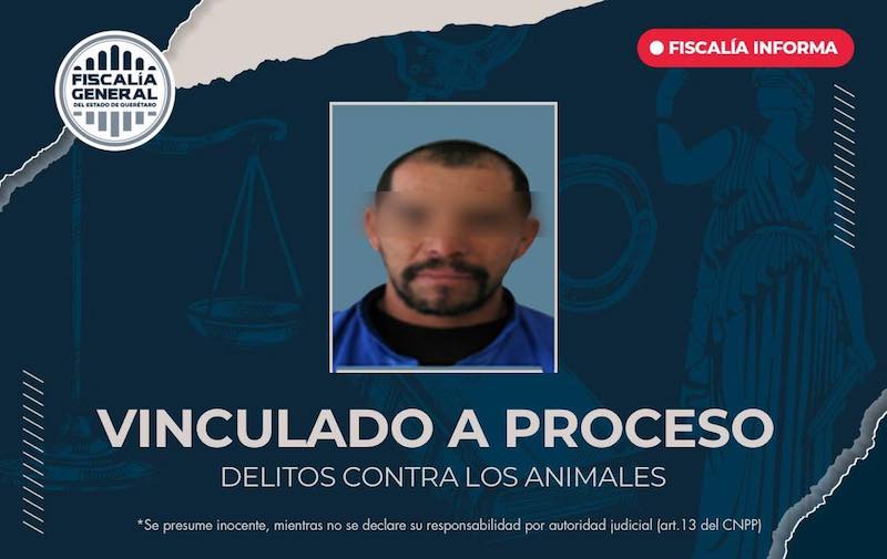 Vinculan a proceso a paseador de perros por maltrato animal en Corregidora