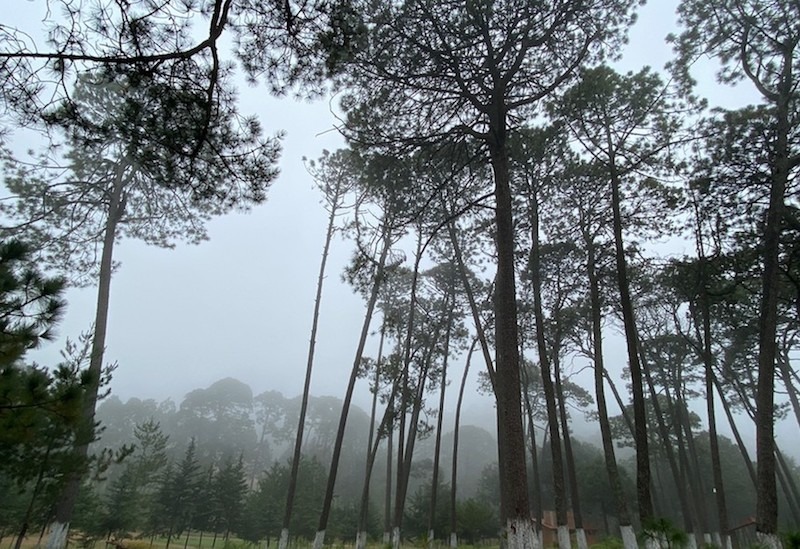 Bajan las temperaturas en Querétaro; Amealco y San Joaquín registran los valores más fríos