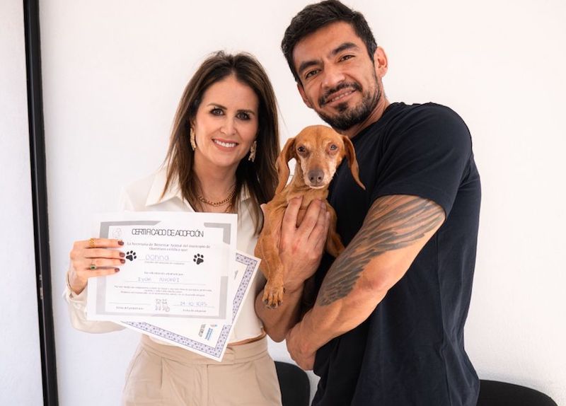 Municipio de Querétaro refuerza bienestar y protección animal con jornadas y adopciones responsables