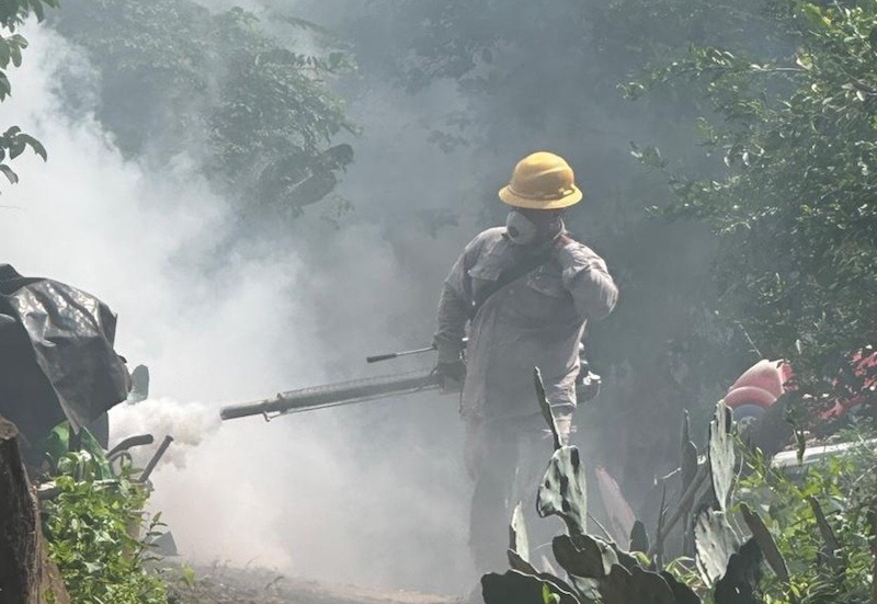 Querétaro registra 90 casos de dengue; los contagios continúan en aumento