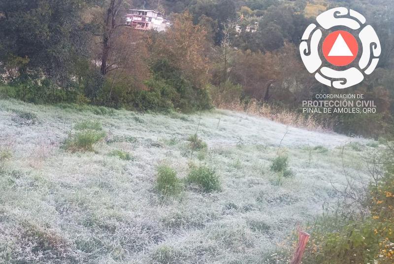 Se registran heladas y formación de hielo en la Sierra Gorda y Amealco, Querétaro