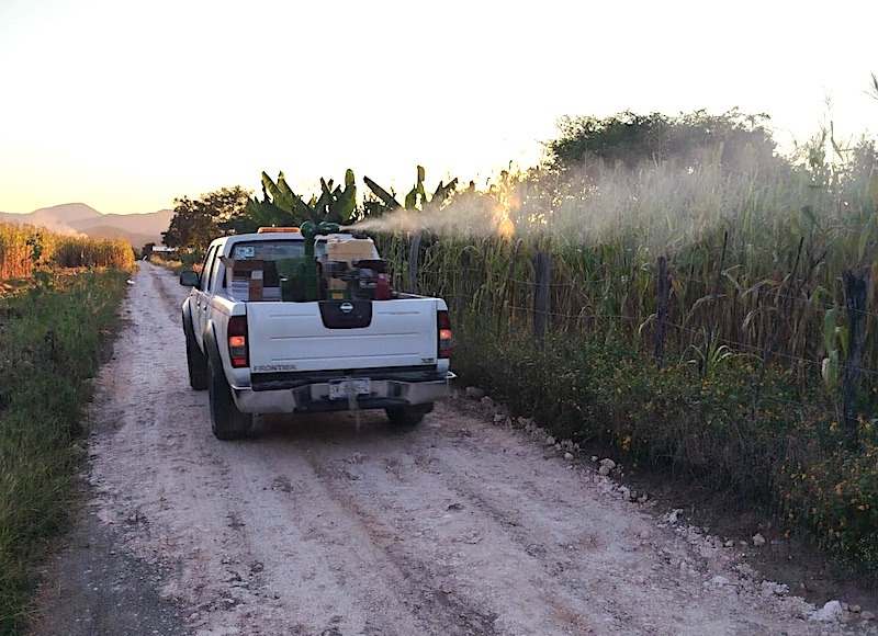 Querétaro registra 100 casos positivos de dengue; autoridades refuerzan llamado a la prevención