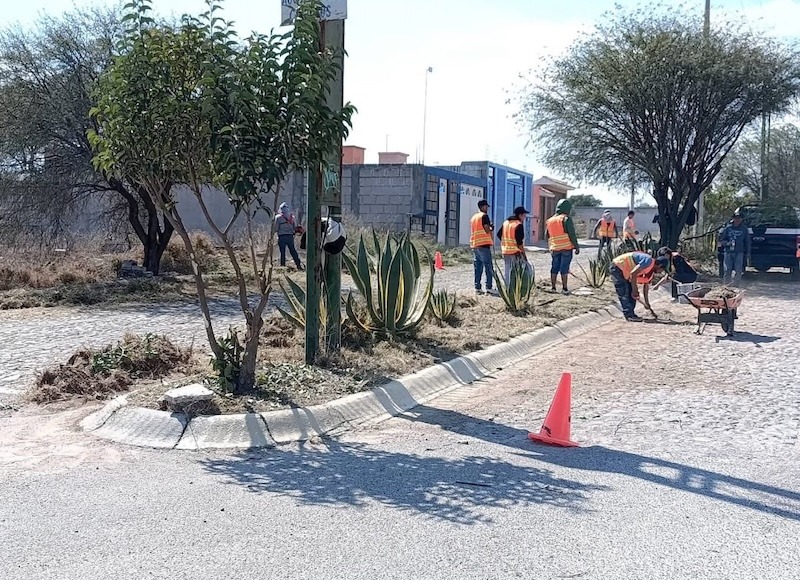 Infractores realizan trabajo comunitario en el fraccionamiento Los Naranjos, en Colón